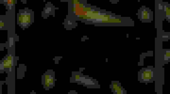 bg-7